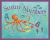 Sunny_numbers