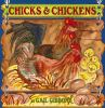 Chicks_and_chickens_