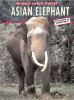 Asian_elephant