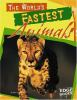 The_world_s_fastest_animals