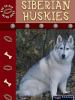 Siberian_huskies