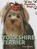 Yorkshire_terrier