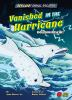 Vanished_in_the_hurricane