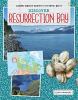 Discover_Resurrection_Bay