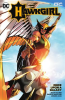 Hawkgirl_Vol__1__Once_Upon_a_Galaxy