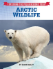 Arctic_Wildlife