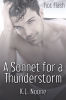 A_Sonnet_for_a_Thunderstorm