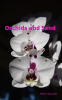 Orchids_and_Sand