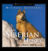 The_Siberian_husky