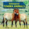 Endangered_tundra_animals