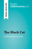 The_Black_Cat_by_Edgar_Allan_Poe__Book_Analysis_