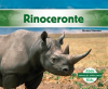 Rinoceronte__Rhinoceros_