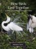 How_birds_live_together