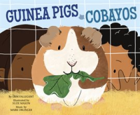 Guinea_Pigs___Cobayos