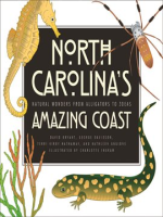 North_Carolina_s_Amazing_Coast