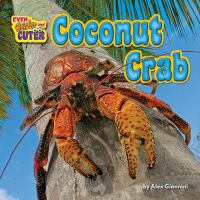 Coconut_crab