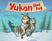 Yukon__sled_dog