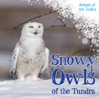 Snowy_owls_of_the_tundra