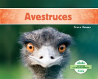 Avestruces__Ostriches_