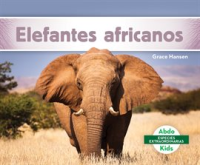 Elefantes_Africanos__African_Elephants_