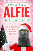 Alfie_the_Christmas_cat